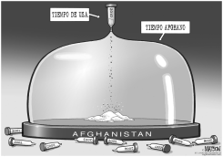TIEMPO AFGHANO by R.J. Matson