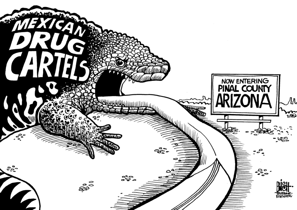 PINAL COUNTY, ARIZONA, B/W