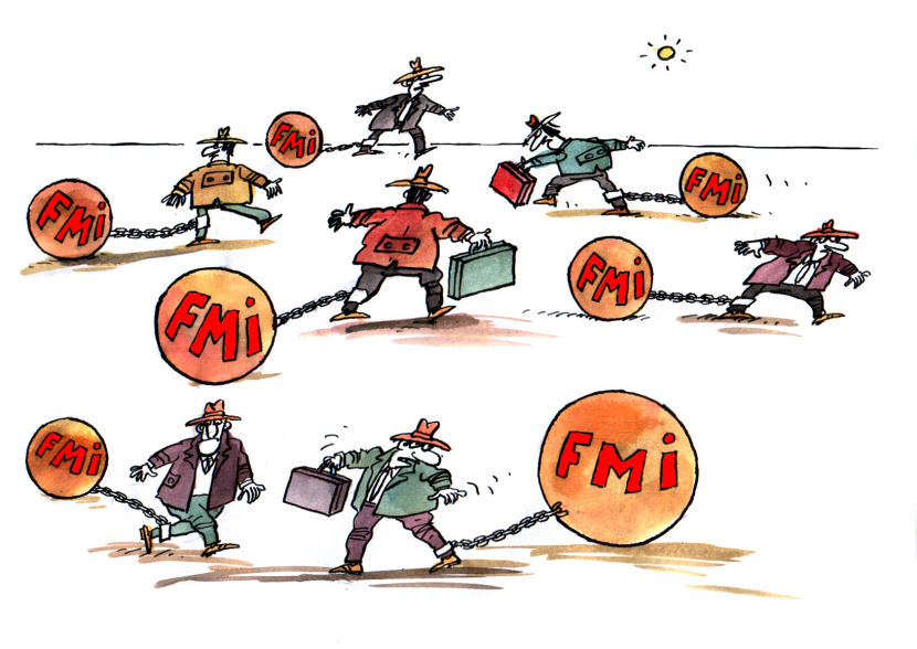 FMI COLOR