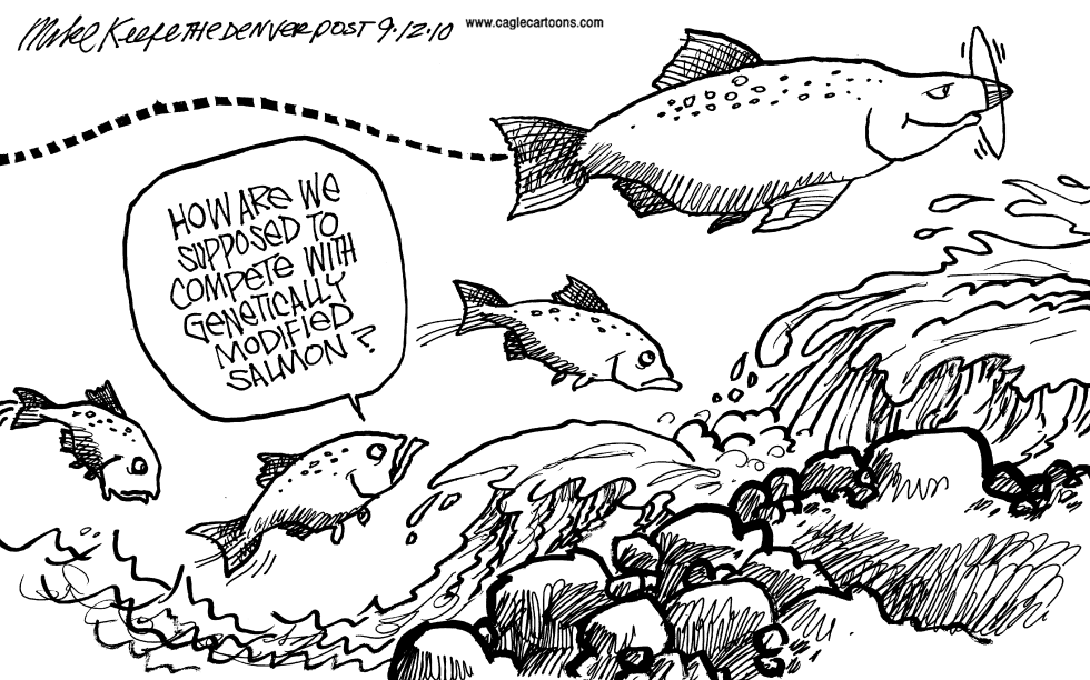 Genetically Modified Salmon
