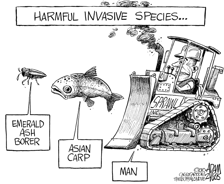 Harmful Invasive Species