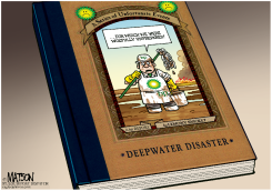 BP REPORT BY LEMONY SNICKET by R.J. Matson