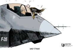 CANADA BIRD STRIKE by Cam Cardow
