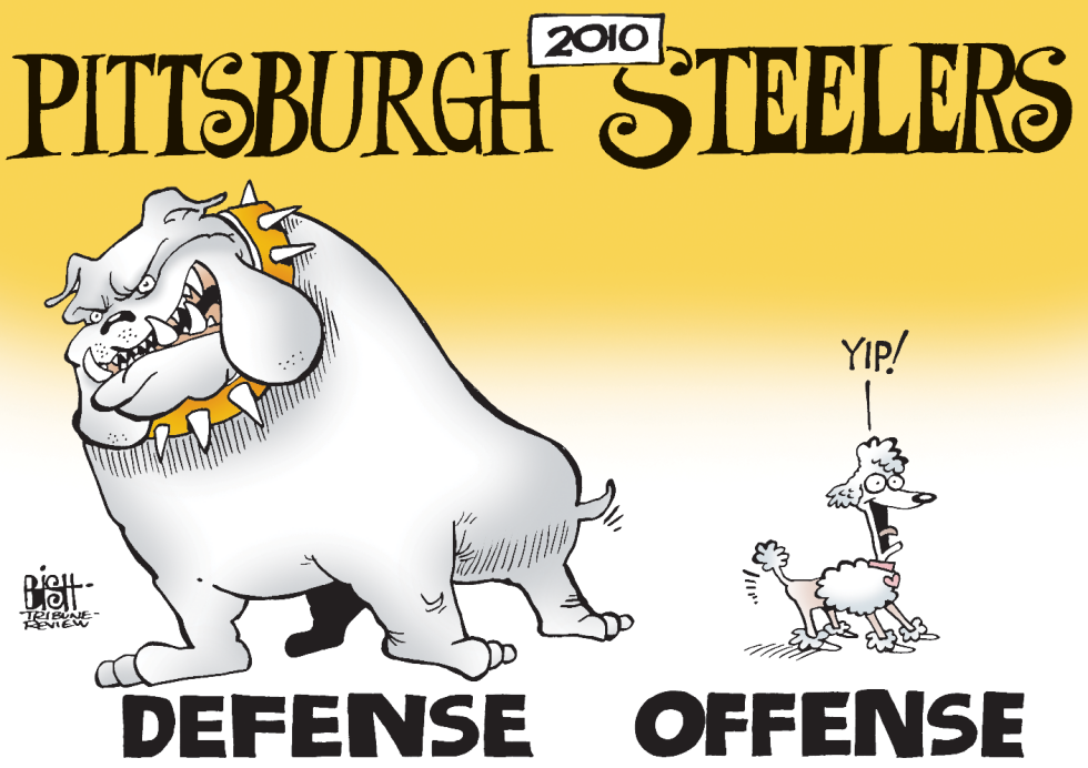 PITTSBURGH STEELERS DEFENSE, COLOR