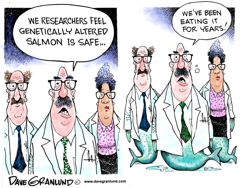 Genetically altered salmon