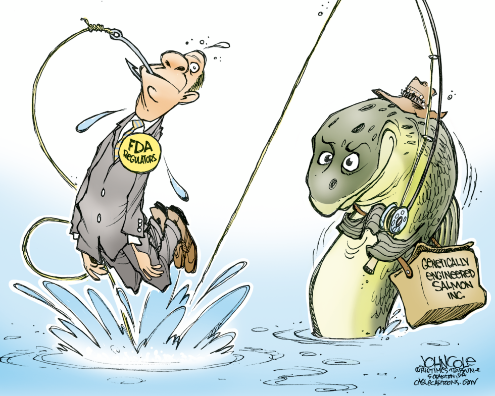 Genetically engineered salmon regulation COLOR
