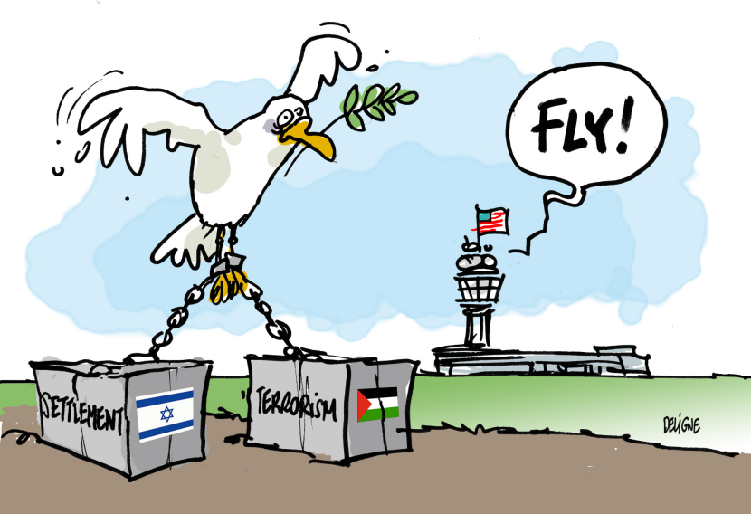 Peace Fly