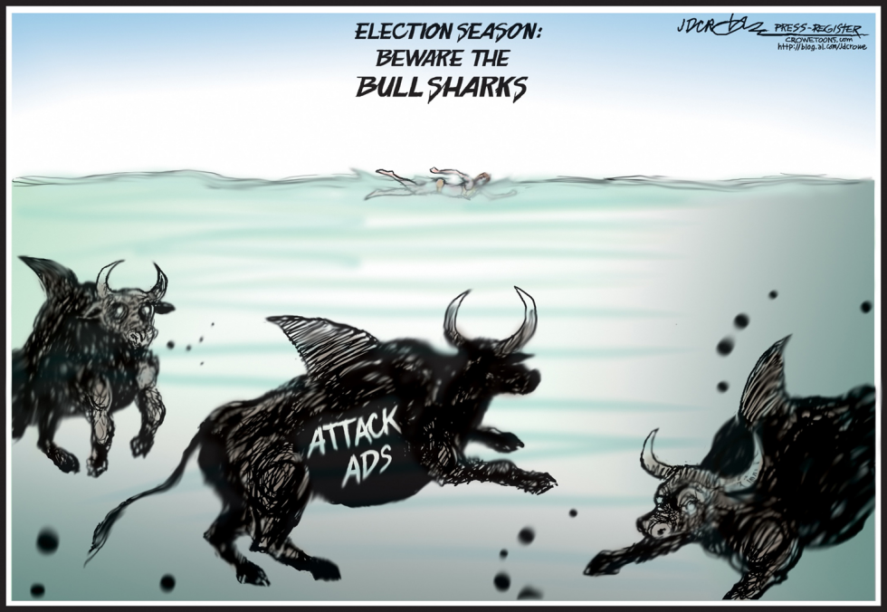 Bull Sharks
