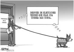 CORREA DEL PERRO AZUL by R.J. Matson