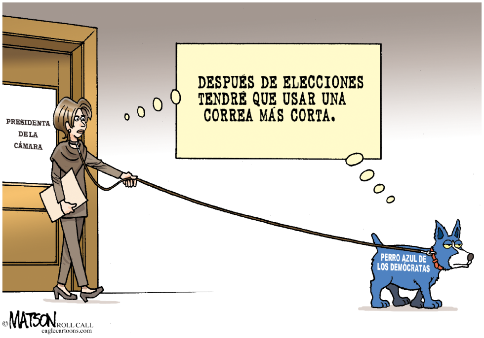 Correa del Perro Azul / COLOR