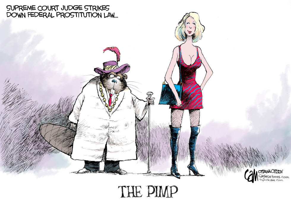 CANADA Pimp