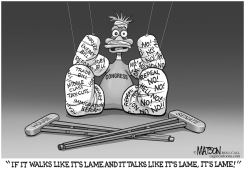 LAME CONGRESS DUCK by R.J. Matson