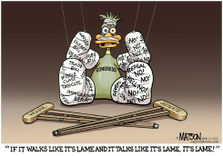 LAME CONGRESS DUCK by R.J. Matson
