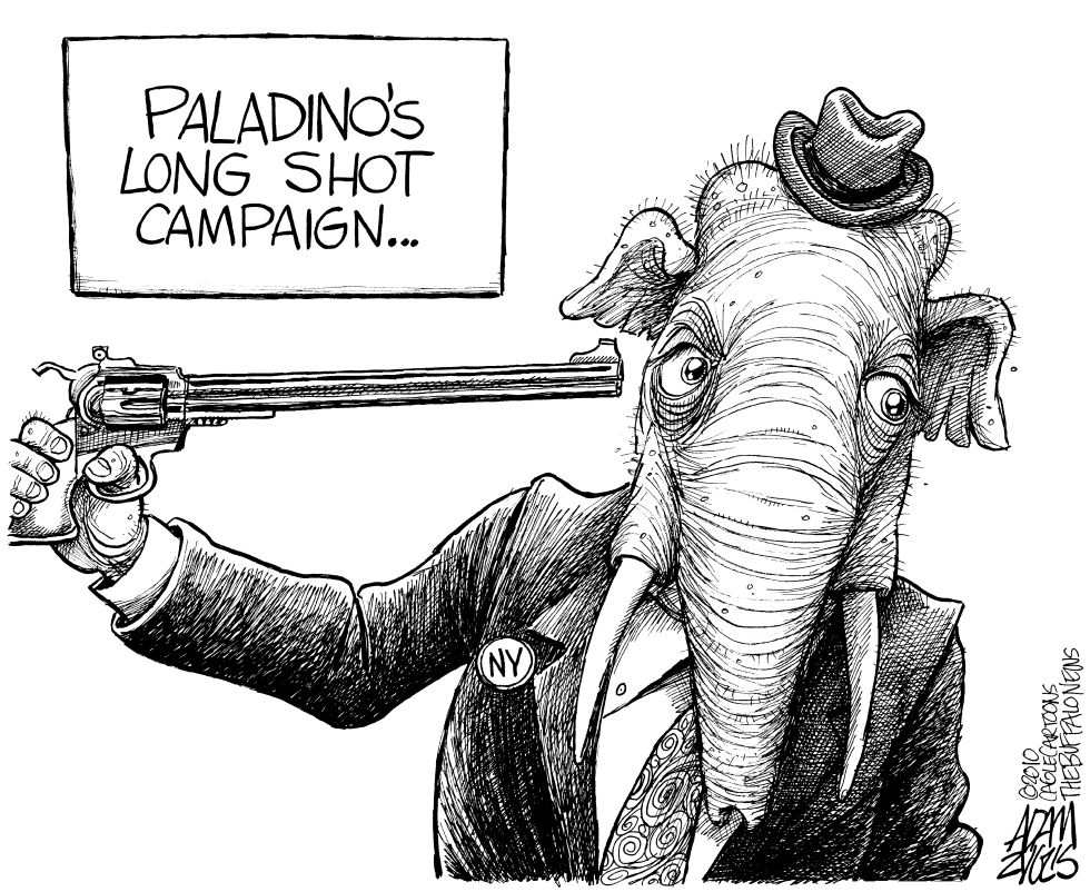 NY Paladinos Long Shot Campaign