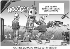 DEMOCRAT RESCUE MISSION by R.J. Matson
