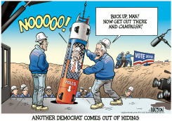 DEMOCRAT RESCUE MISSION by R.J. Matson