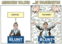 MISSOURI VALUES. . .IN WASHINGTON by R.J. Matson