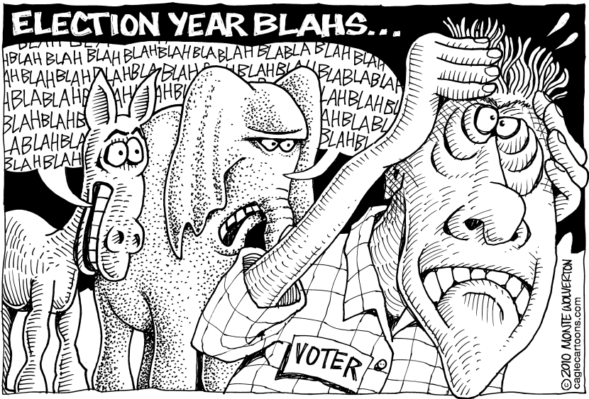 Election Year Blahs
