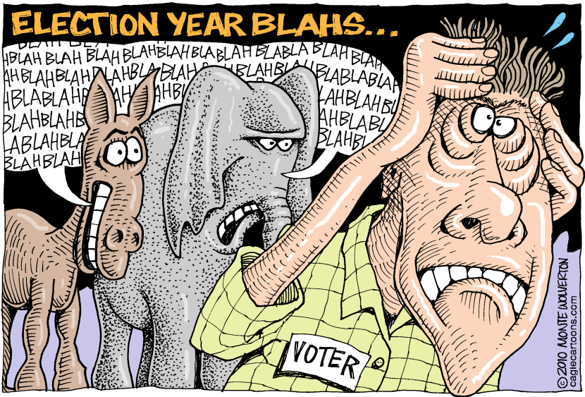 Election Year Blahs COLOR