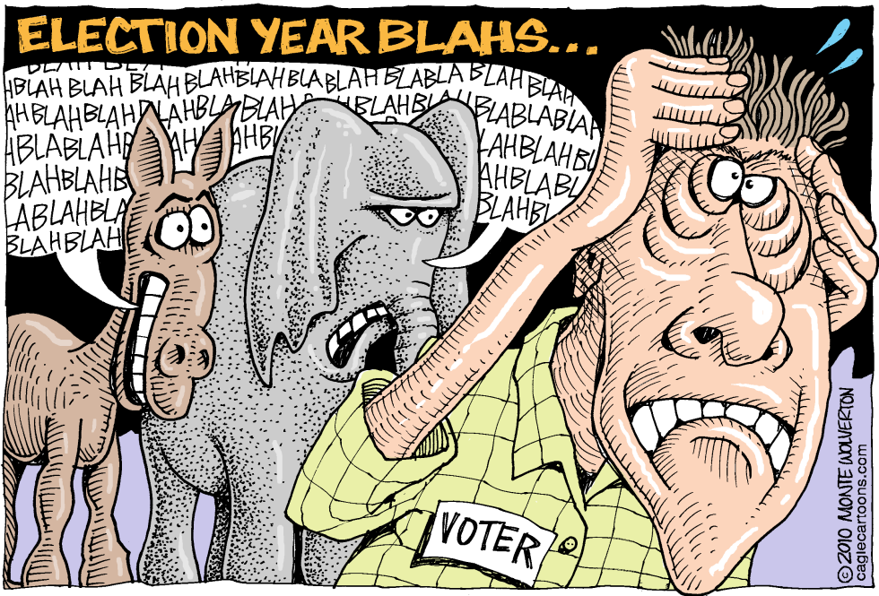 Election Year Blahs COLOR