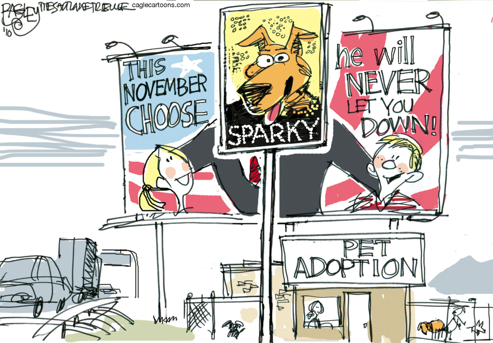 Perfect Candidate