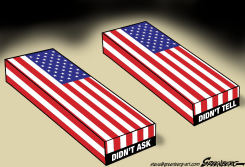 DIDNT ASK by Steve Greenberg