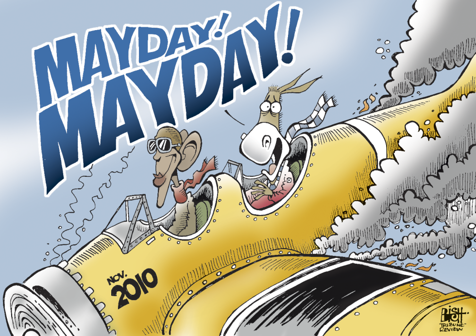 DEMOCRATS IN DISTRESS, COLOR