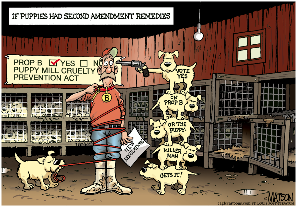  LOCAL MO- A SECOND AMENDMENT REMEDIES FOR PUPPY MILL PUPPIES by RJ Matson