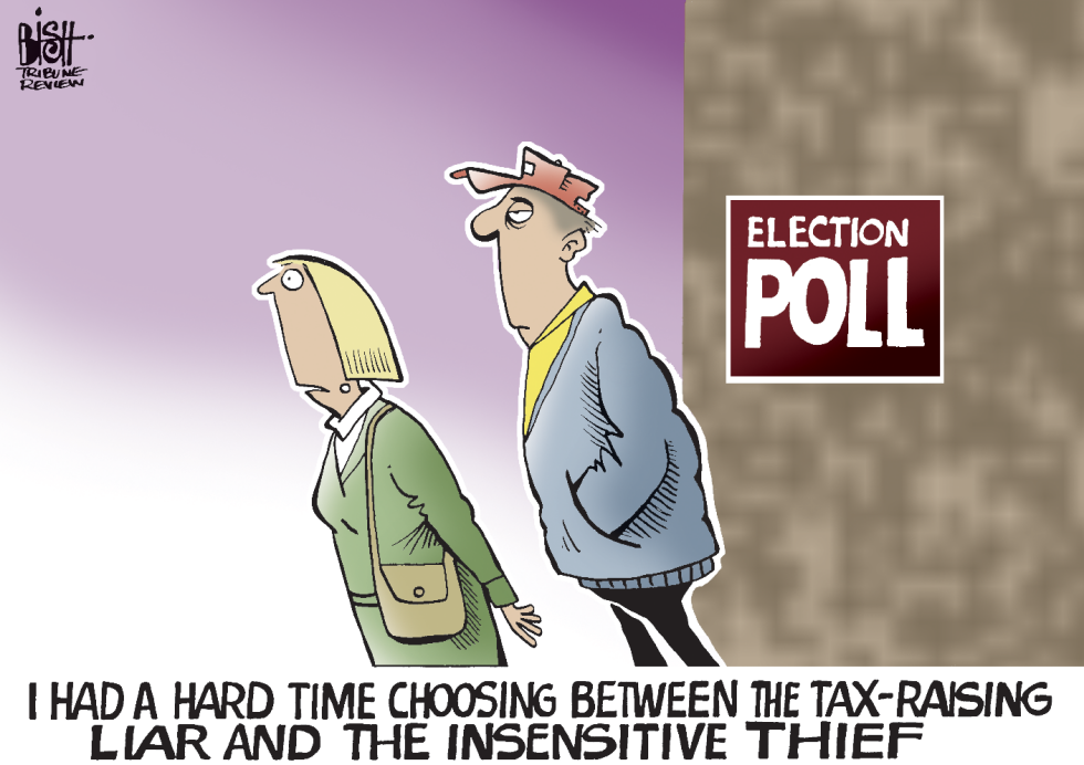 THE EFFECT OF ATTACK ADS ON VOTERS, COLOR