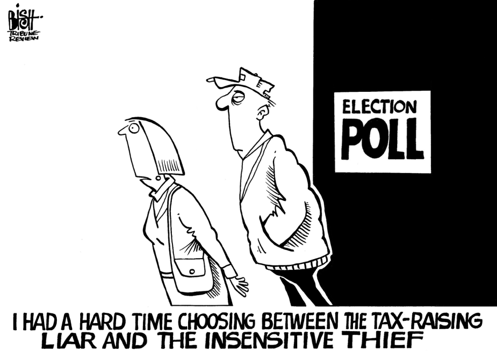 THE EFFECT OF ATTACK ADS ON VOTERS, B/W