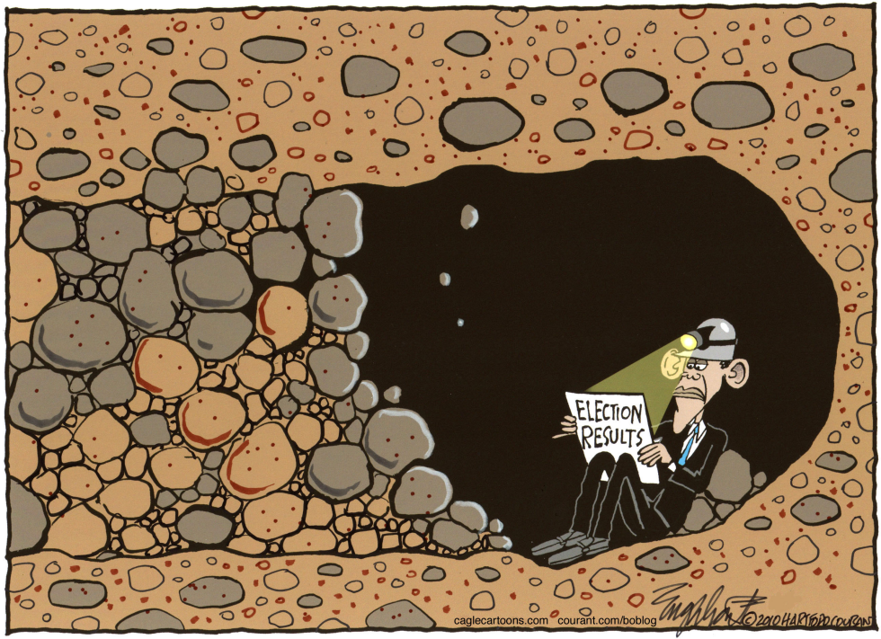 Election 2010