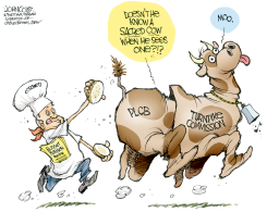 LOCAL PA CORBETT BUDGET by John Cole