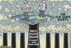 FLAT EARTH SOCIETY by Steve Greenberg