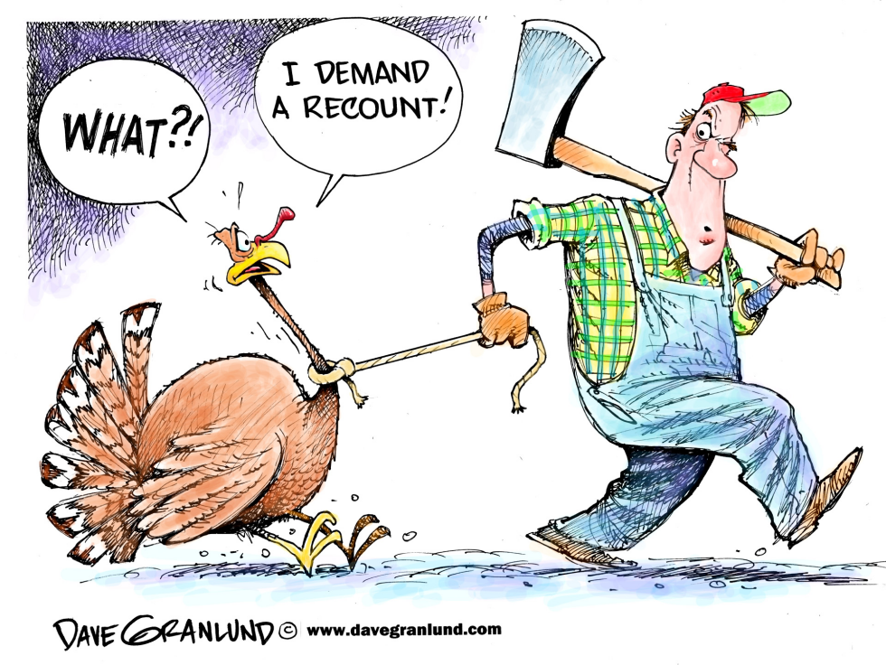 Thanksgiving turkeys and recounts