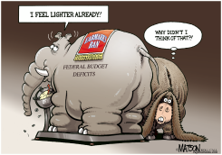 EARMARKS BAN by R.J. Matson