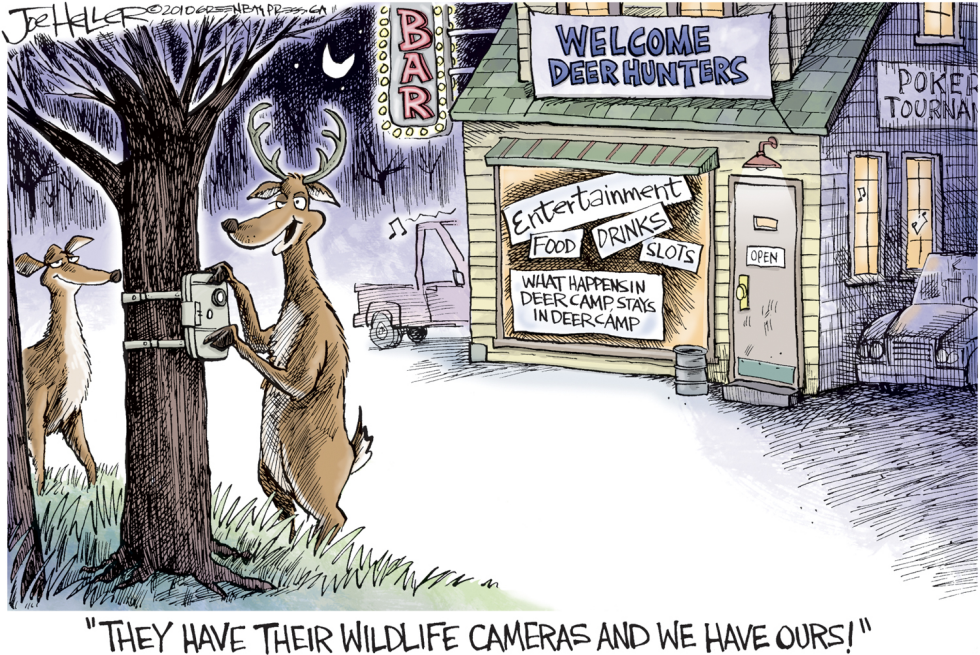 Deer Hunting Season