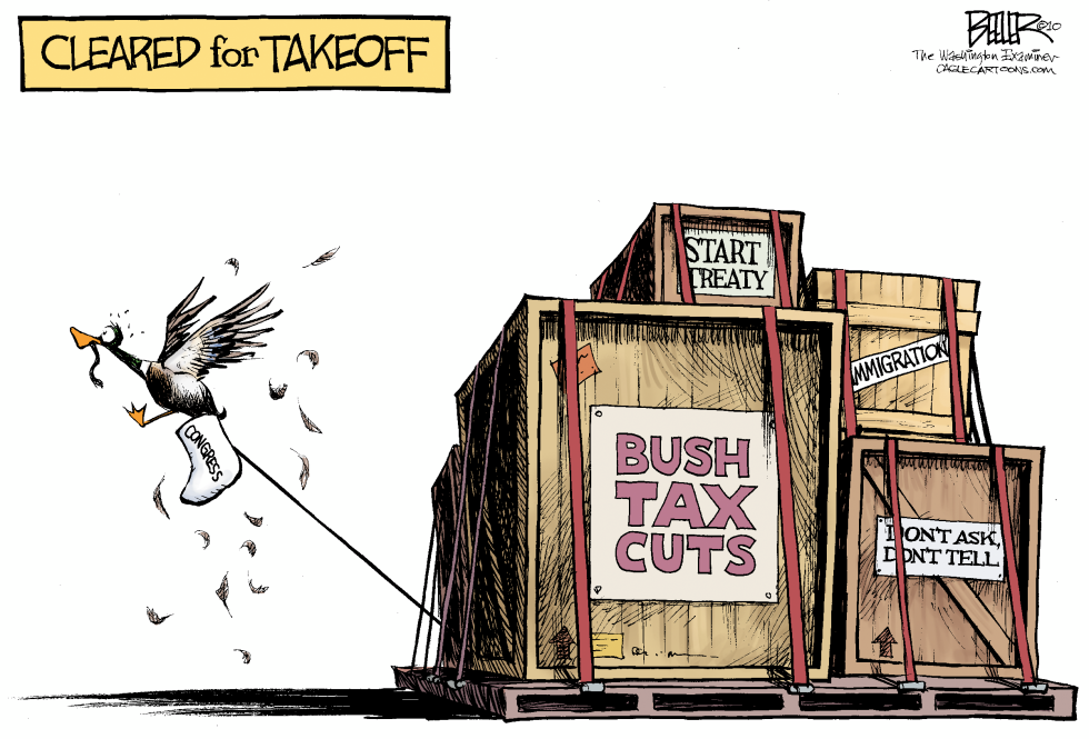 Lame Duck COLOR