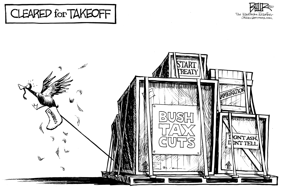 Lame Duck