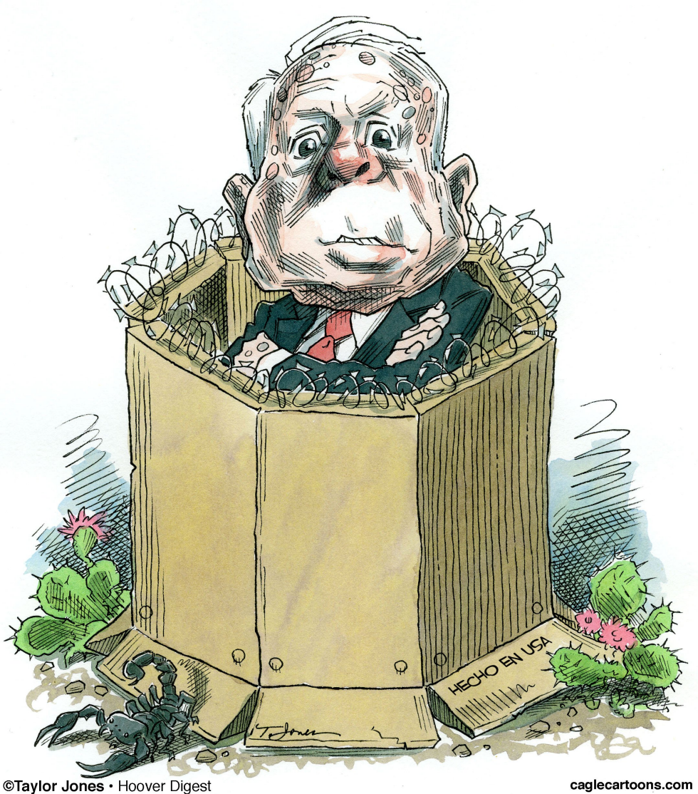 John McCain / COLOR
