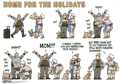 HOME FOR THE TSA HOLIDAYS by R.J. Matson