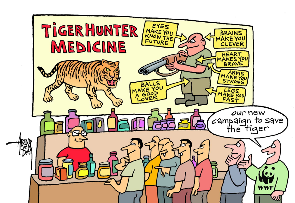 tiger conference