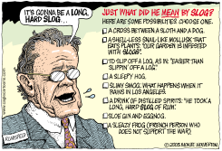  LONG HARD SLOG by Monte Wolverton