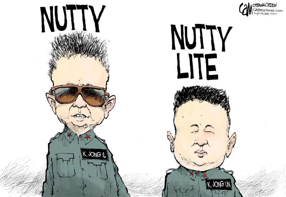 Nutty Lite COLOR