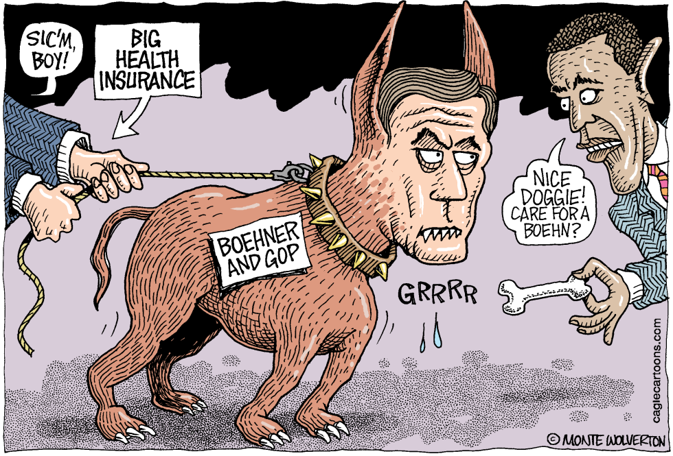 Big Healthcare Lapdog COLOR