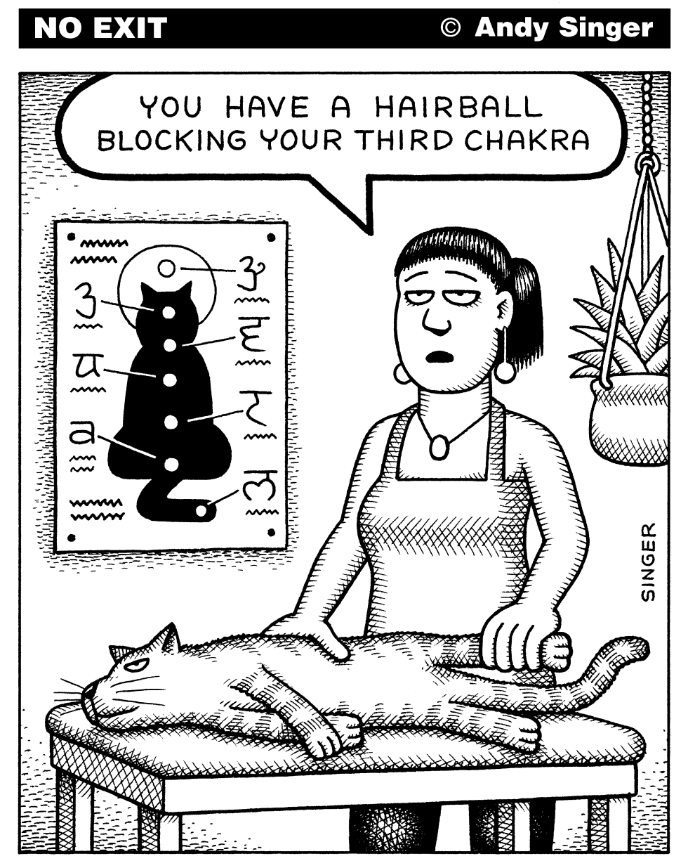 Cat Chakras