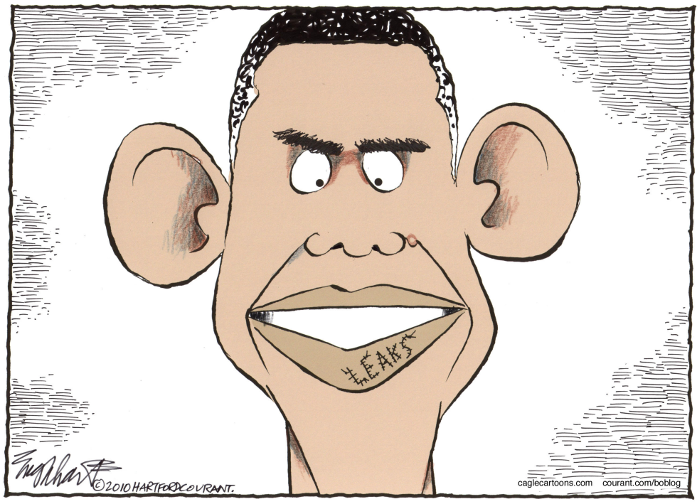 WikiLeaks COLOR