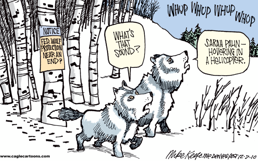 Wolf Protection COLOR