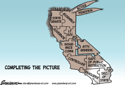 CALIF DEMOCRATIC SWEEP by Steve Greenberg
