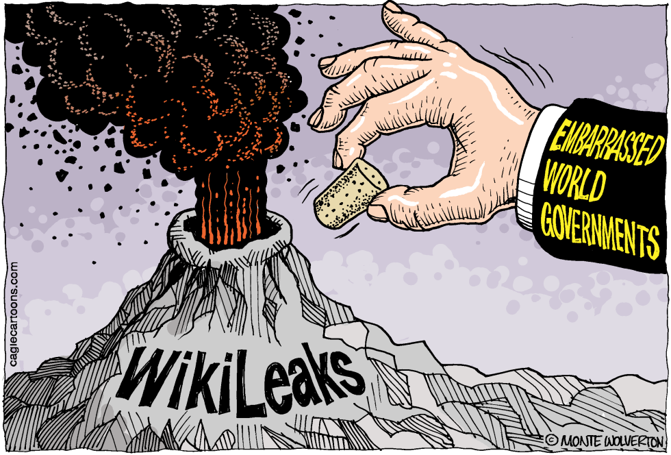  PLUGGING WIKILEAKS by Wolverton