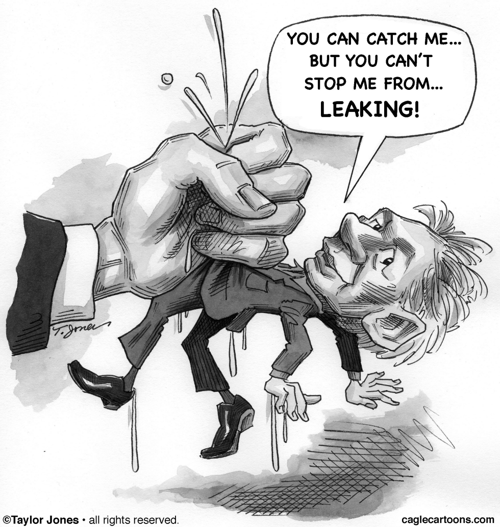Julian Assange handcuffed